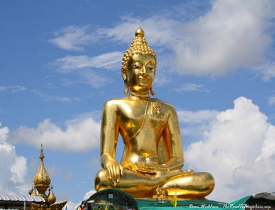 VIP acupuncture points: LI4 & Buddha’s Triangle (L9, H7 and PC6).