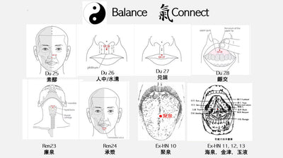 Integrative view of the tongue’s role in oral posture and Qi