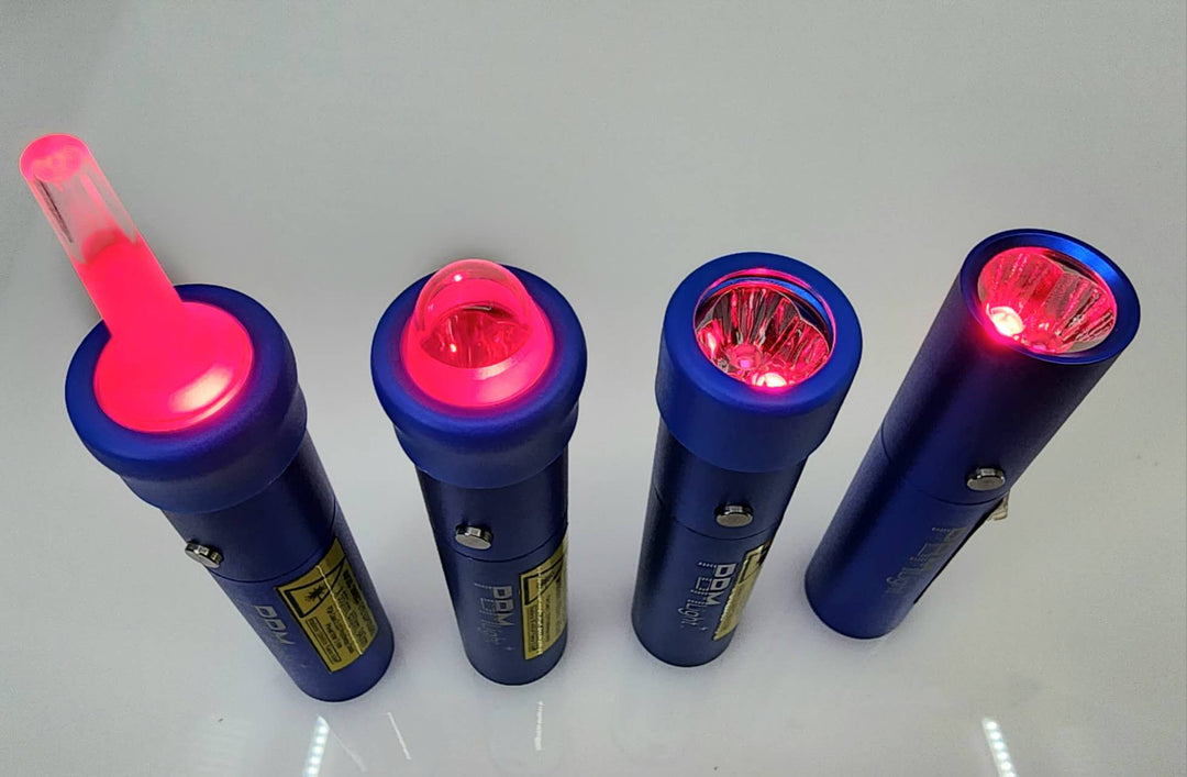 PBM + (Blue) with bonus attachments – Oral IQ LLC